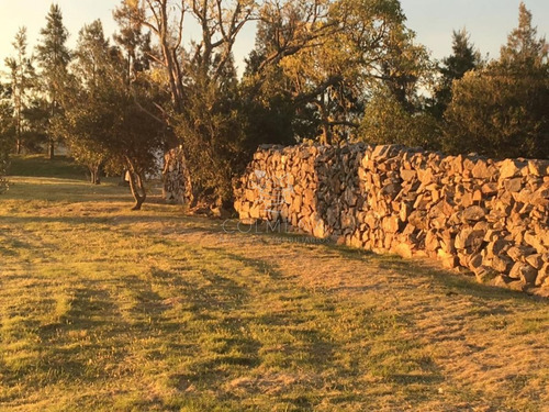 Imagen 4 de 11 de Chacra En Sierra De Los Caracoles - Zona Rural - Pueblo Eden