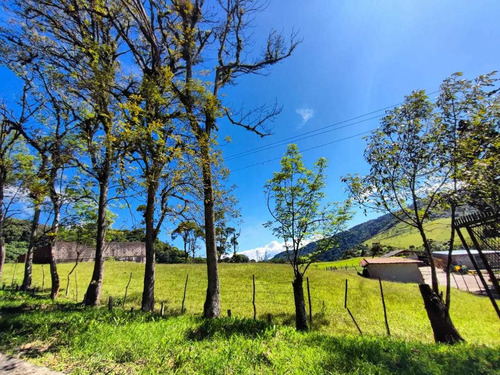 Imagen 5 de 9 de Venta Granja En Borota Ah