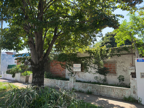 Lote Con Construccion ( Casa Terminada Antigua A Refaccionar) ( 201 )