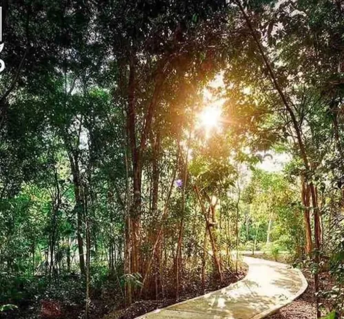 Tu Casa En Ciudad Mayakoba Estilo, Confort Y Ubicación