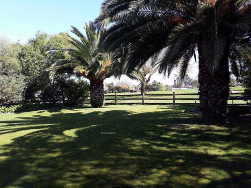Santo Domingo, Las Brisas