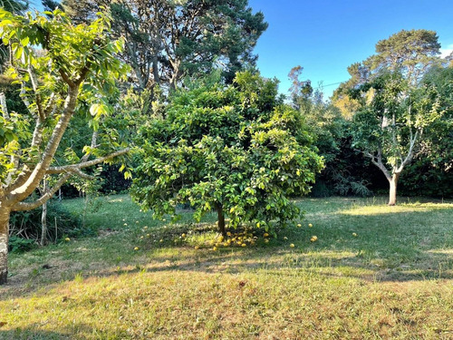 Imagen 11 de 30 de Casa Quinta Sobre Lote De 5.000 M2 La Gloria De La Peregrina