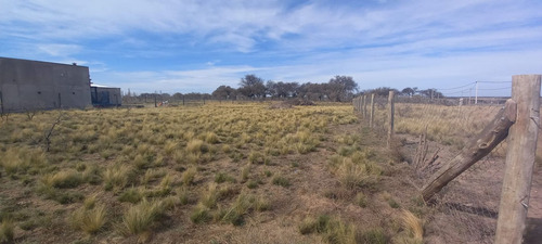 Venta Terreno Cardo Ruso S/n- Altos De Kamal- Toay