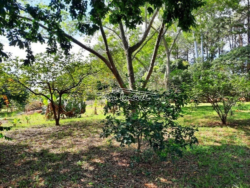 Imagem 11 de 14 de Chácara No Condomínio Estância Ubaitaba Em Boituva. 5 Mil M² De Terreno! - Ch00584 - 69436244