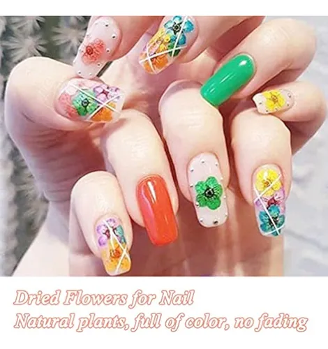 Teoyall 24 Colores De Flores Secas Para Arte De Uñas, 2