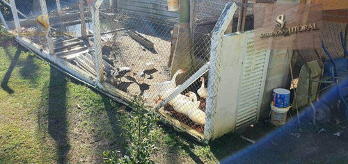 Imagem 28 de 30 de Chácara - Biritiba Mirim Sp - Ch0023