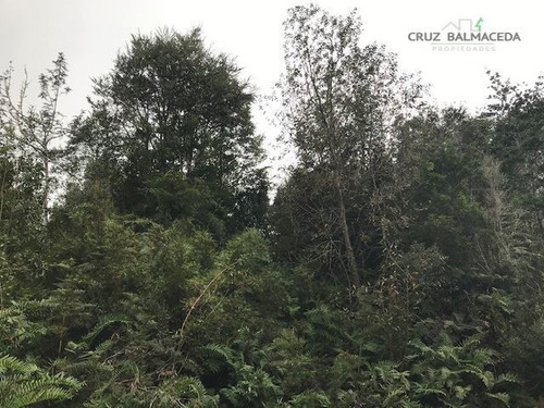 Imagen 8 de 8 de Agrícola En Venta En Puerto Montt