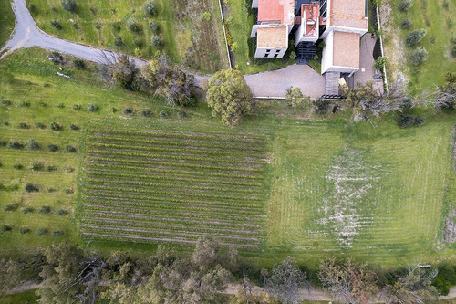 Lote En Venta En San Miguel De Allende: Viñedo San Lucas