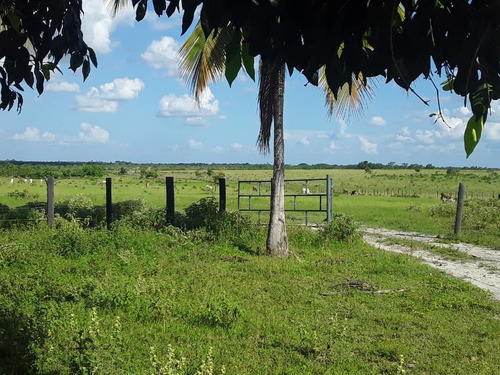 Imagen 13 de 14 de Finca En Venta - El Manteco, Estado Bolivar Fl