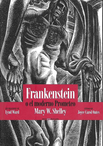 Libro Frankenstein O El Moderno Prometeo Tapa Dura