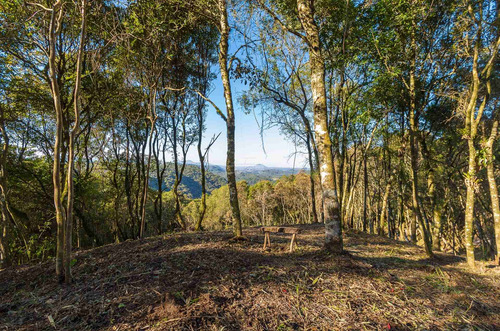 Imagem 26 de 30 de Chácara - Residencial - 936672