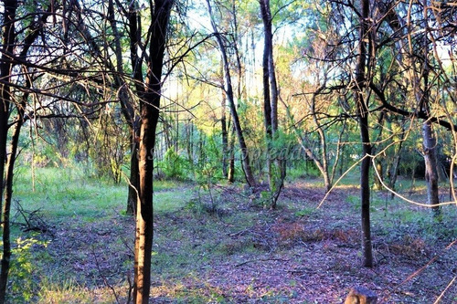 En Venta Fracción De Dos Hectáreas En Colonia Del Sacrament