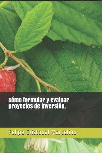 Libro: Cómo Formular Y Evaluar Proyectos De Inversión. (span