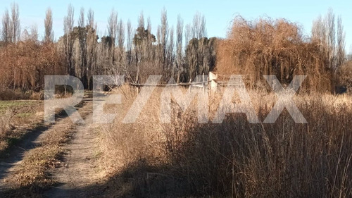 Venta De Chacra 6 Hectareas - Vista Alegre