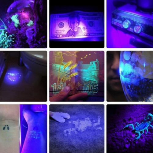 Lámparas Tácticas Luz Negra Uv Ultravioleta Led Kit 10 Pzs Linterna Negro Luz UV Ultravioleta Negra