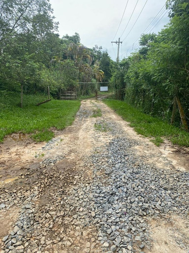 Imagem 24 de 30 de M03- Lotes A Venda