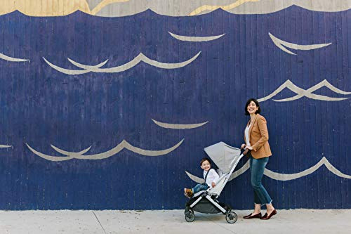 Protector Contra Lluvia Uppababy Minu/minu V2 Para Cochecito