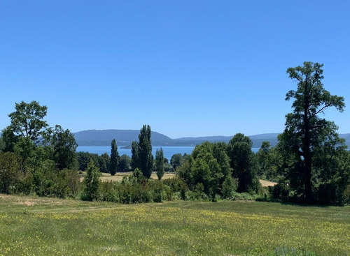 Imagen 2 de 2 de Parcelas Agricolas Los Boldos - Villarrica