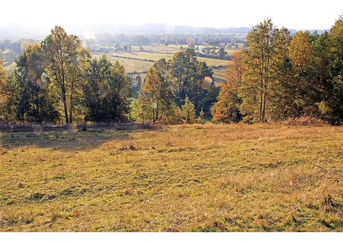 Terreno De 1 Hectarea En Venta En Sector Cuinco La Unión