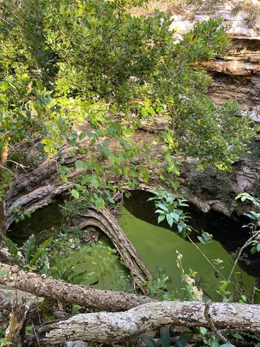 Rancho Con Cenotes Y Casa Antigua En Sotuta De 489 Hectareas