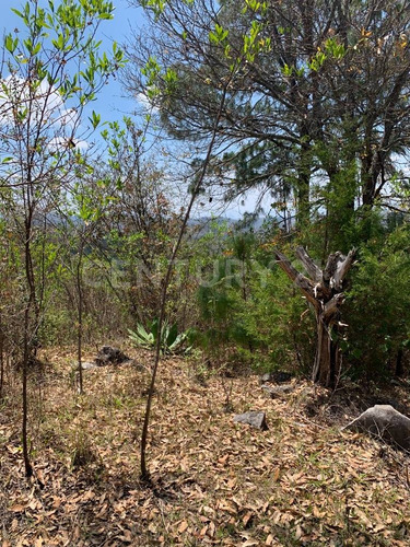 Terreno En Venta, Colonia La Candelaria, Comunidad El Manzanillo, San Cristobal