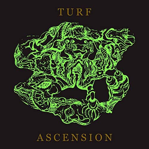 Cd:turf Ascension