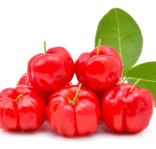 Sementes De Acerola Gigante Cereja Antilhas P/mudas E Bonsai