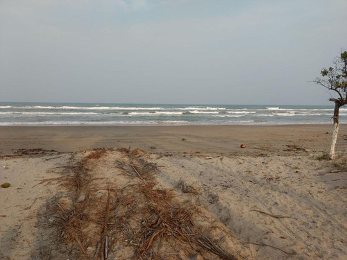 Venta Terreno 200 Hectáreas Playa A Laguna Tamiahua Veracruz