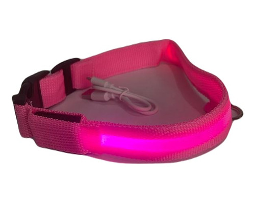 Collar Para Perro Con Luces Led 3 Funciones