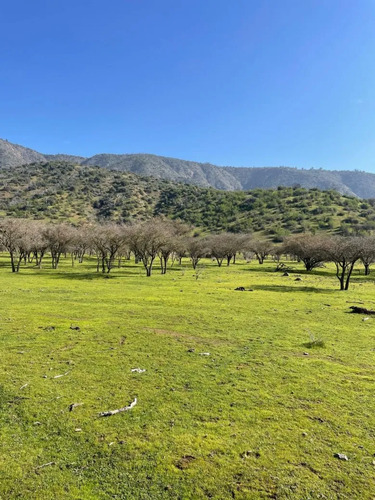 Terreno 151 Ha Con Aguas Inscritas Los Guindos, Melipilla