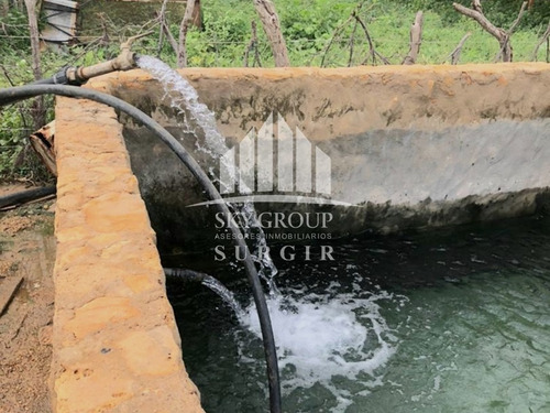 Imagen 7 de 9 de Finca En El Vinculo Sgf-007