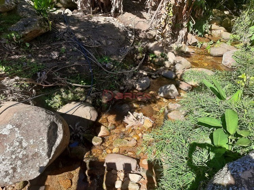 Imagem 5 de 5 de Sítio Com 20 Mil M² Em Córrego Das Pedras - St00212 - 69402408