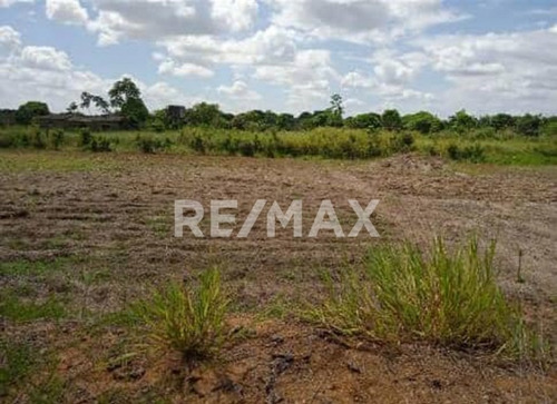 Imagen 3 de 5 de Se Vende Aserradero Vía Al Norte