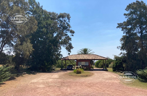 Imagen 6 de 28 de Terreno Barrio Privado 7414 Mts Camino De Los Horneros- Countrie Quinta De Los Horneros