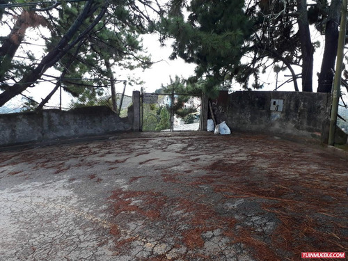 Imagen 7 de 9 de Terrenos En Venta