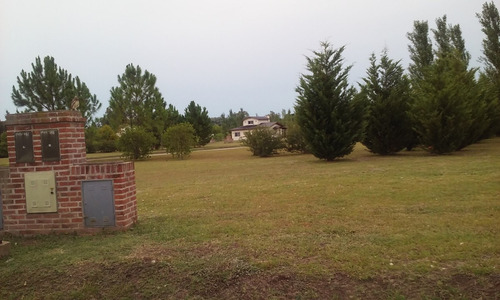 Lotes En El Cardal