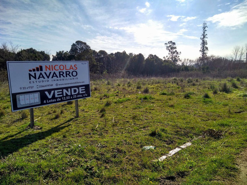 Imagen 4 de 6 de Terreno En Venta En Balcarce