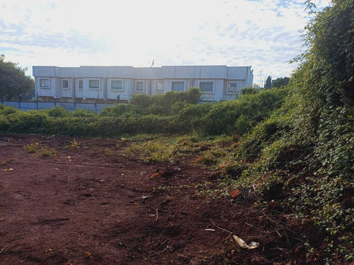 Vendo Terreno Lomás De San Andrés (96190)