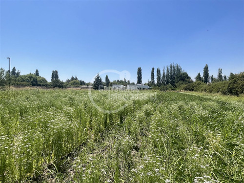 Sitio En Venta En San José, Colina