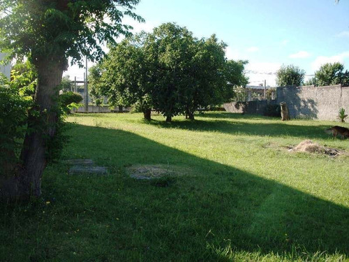 Imagen 12 de 14 de Oport., Apúrese, Disponible. Residencia, Casa De Campo De Estilo!