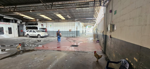 (#1065) Galpón De 1.300m2 Ubicado En Los Ruices, Caracas