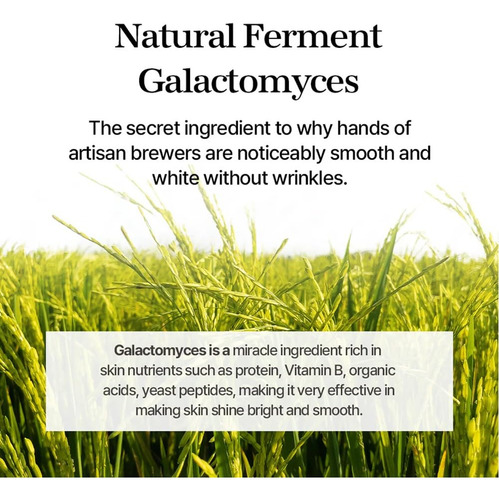 Esencia Facial Mixsoon Galactomyces Ferment Essence 100 Ml