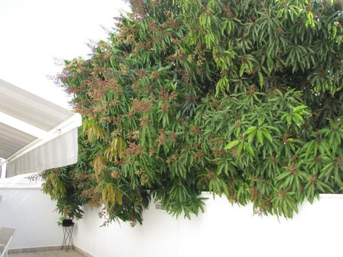 Sobrado Com 3 Dormitórios À Venda, 267 M² Por R$ 1.200.000,00 - Condomínio Village Saint Claire - Sorocaba/sp - So0067 - 67640543