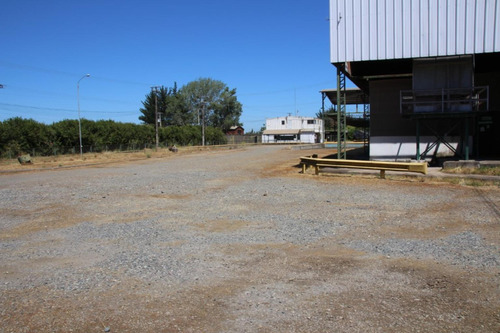 Planta Agro-industrial, Colbún