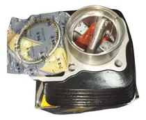 Comprar Kit De Cilindro (zmj\u002Fmolly Fang) Ek.express\u002Fjaguar\u002Fcg150