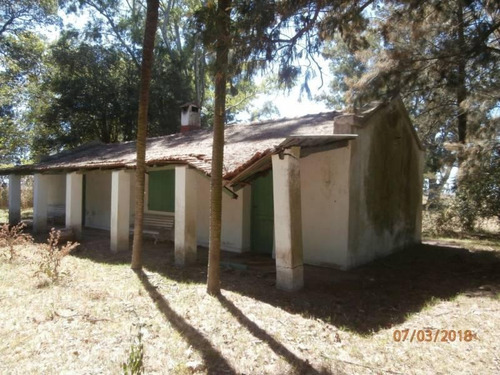 Imagen 8 de 25 de Campo Alto A 60 Km Del Ovelisco 376 Hectareas Con Mejoras