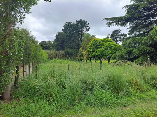 Venta O Permuta De Lote En Tandil