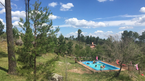 Casa Con Pileta Y Quincho En Gran Terreno Forestado