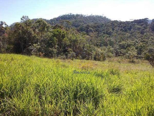 Imagem 1 de 11 de Chácara Com 3 Dormitórios À Venda, 9000 M² Por R$ 300.000,00 - Pouso Alto - Natividade Da Serra/sp - Ch0015
