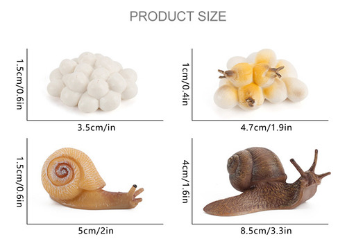 Figura De Insecto En Forma De Z, 4 Piezas, Ciclo Vital De Pl